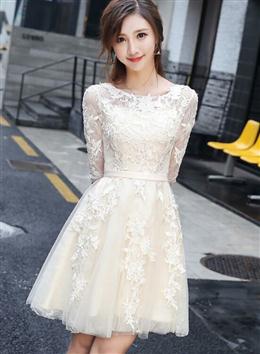 Picture of Light Champagne Cute Lace Short Party Dresses, Lovely Lace Tulle Prom Dresses Homecoming Dresses